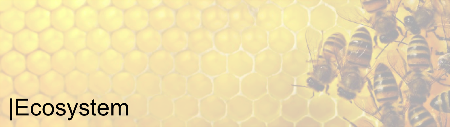 Ecosystem